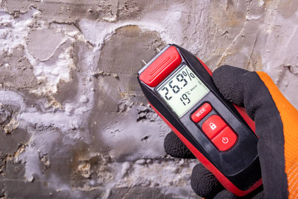 Mold Removal and Inspection in La Salle, CO